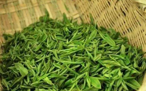 广西苷亮健，茶叶